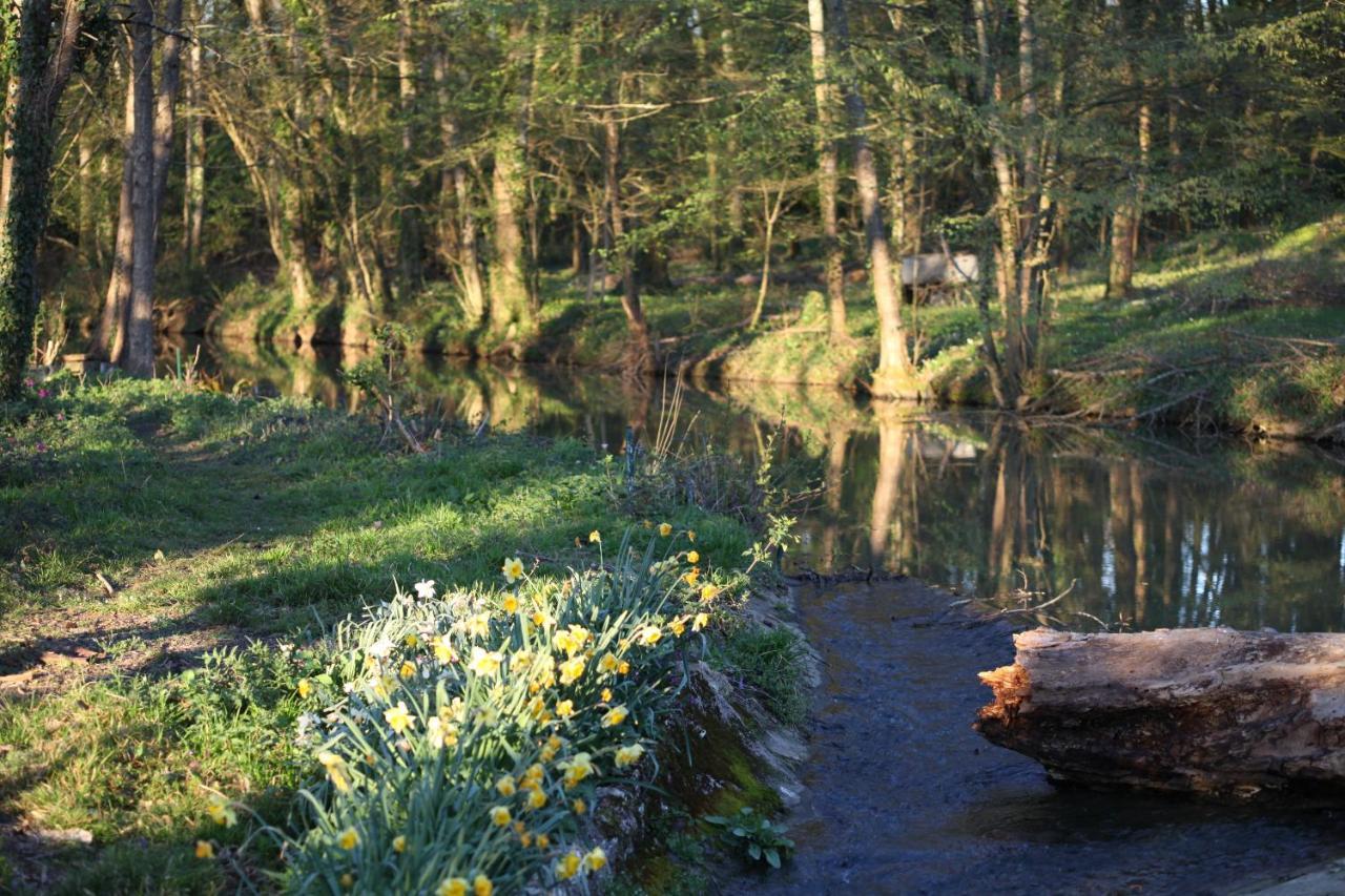 Fleurs De Brenne Gite Neuillé-le-Lierre Exterior foto